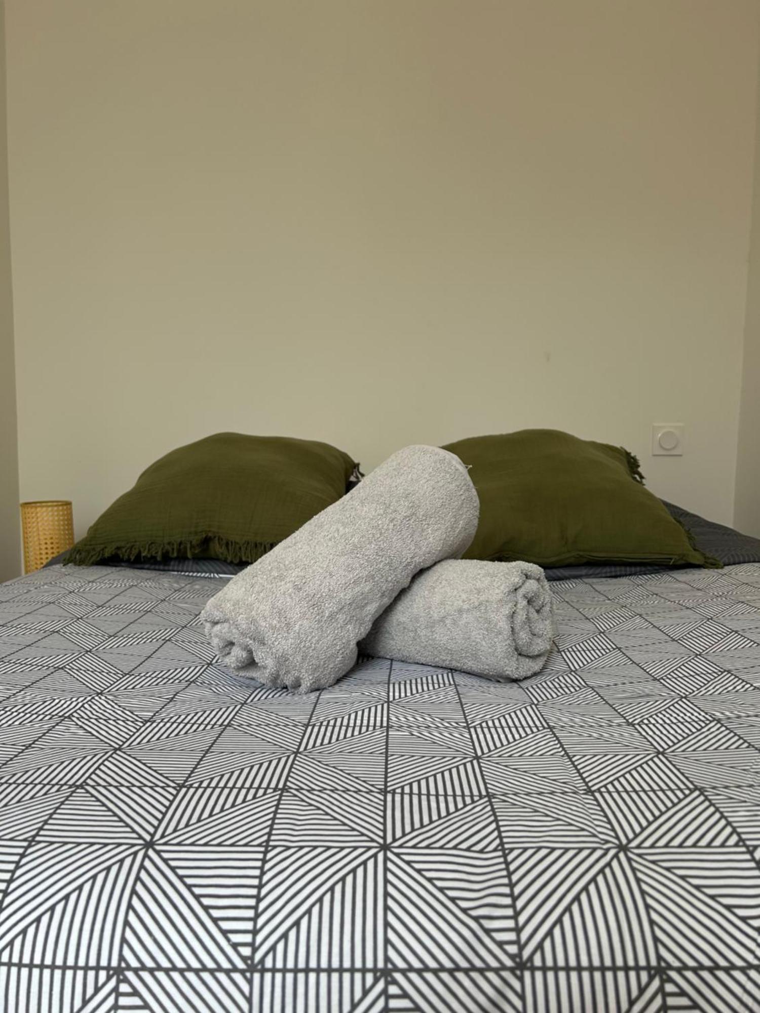 Le Toulousain 101 - Appartement Calme En Hypercentre - Quartier Jeanne D'Arc トゥールーズ エクステリア 写真